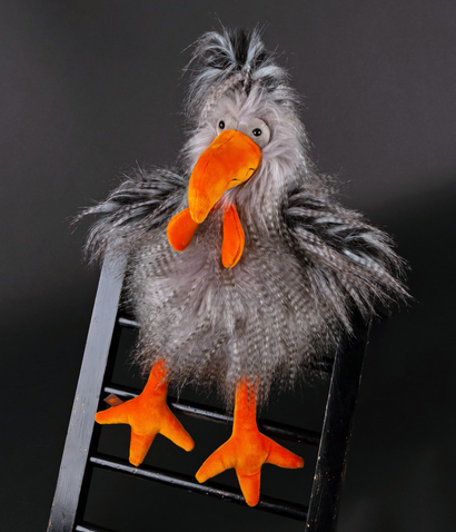 Roost_Boost_2
